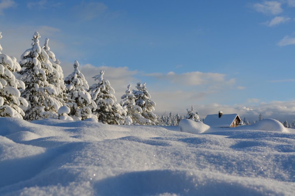 a snowy landscape with trees and a house