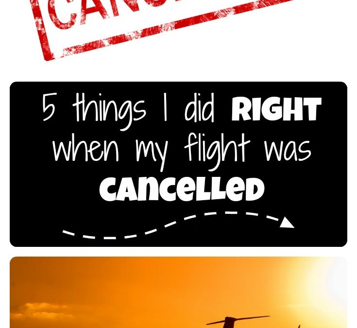 5 things I did right when my flight was canceled