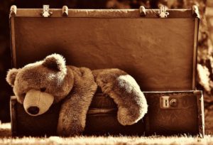 a teddy bear in a suitcase