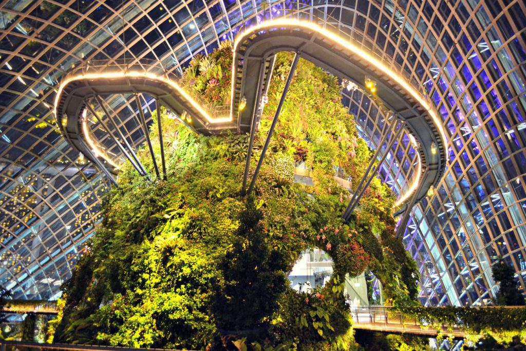 singapore-pictures-gardens-inside-walkway-149