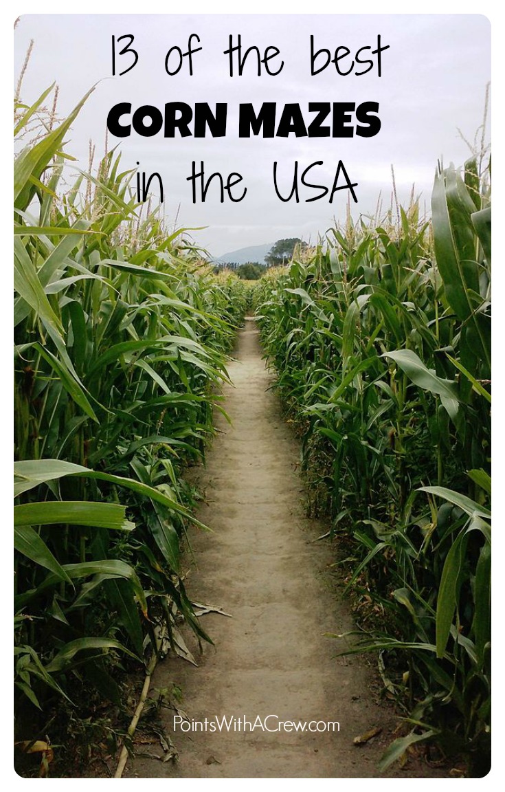 Looking to get lost in a haunted corn maze? Ideas, pictures and date tips for ...