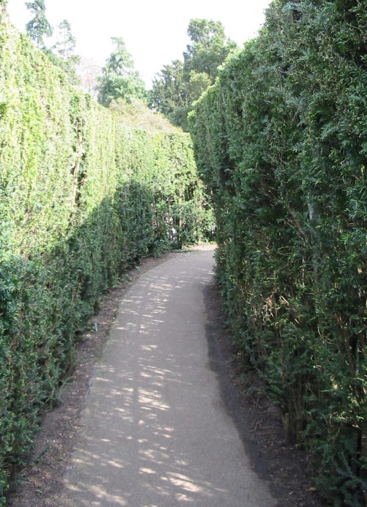 Hampton Court Maze (via Wikimedia Commons)