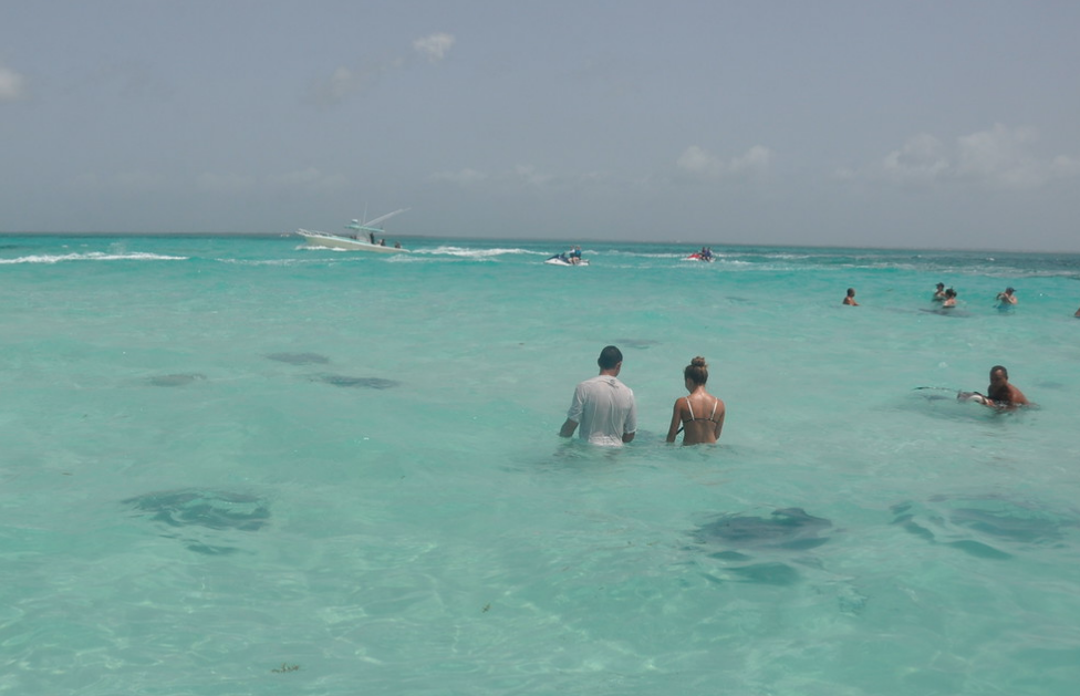 Swim with stingrays in Grand Cayman