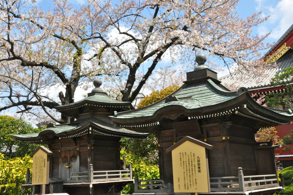 a two wooden buildings with a sign under a tree