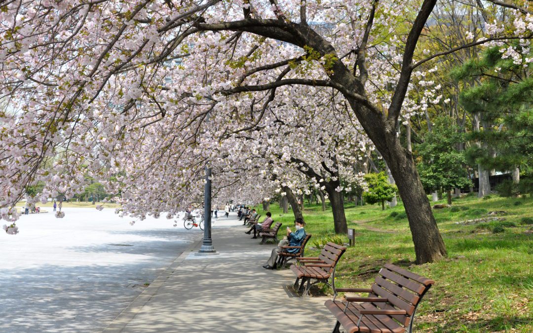 3 ways to get from the Osaka Airports to Kyoto