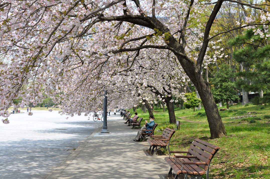 Best routes and cheapest miles to Japan from mainland U.S. Points with a Crew