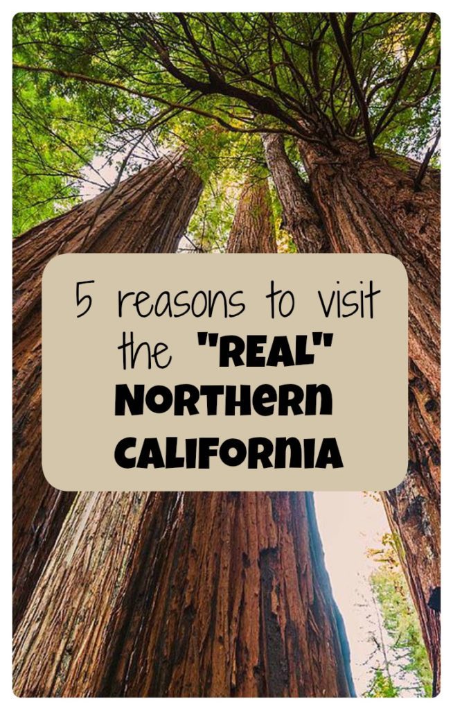 Forget San Francisco and the Bay Area - travel to the REAL Northern California - Sequoia, Redwoods and other road trips