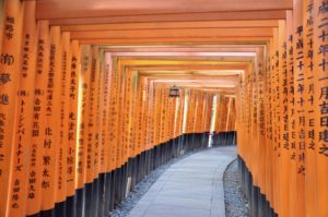 a path with orange pillars with Fushimi Inari-taisha in the background