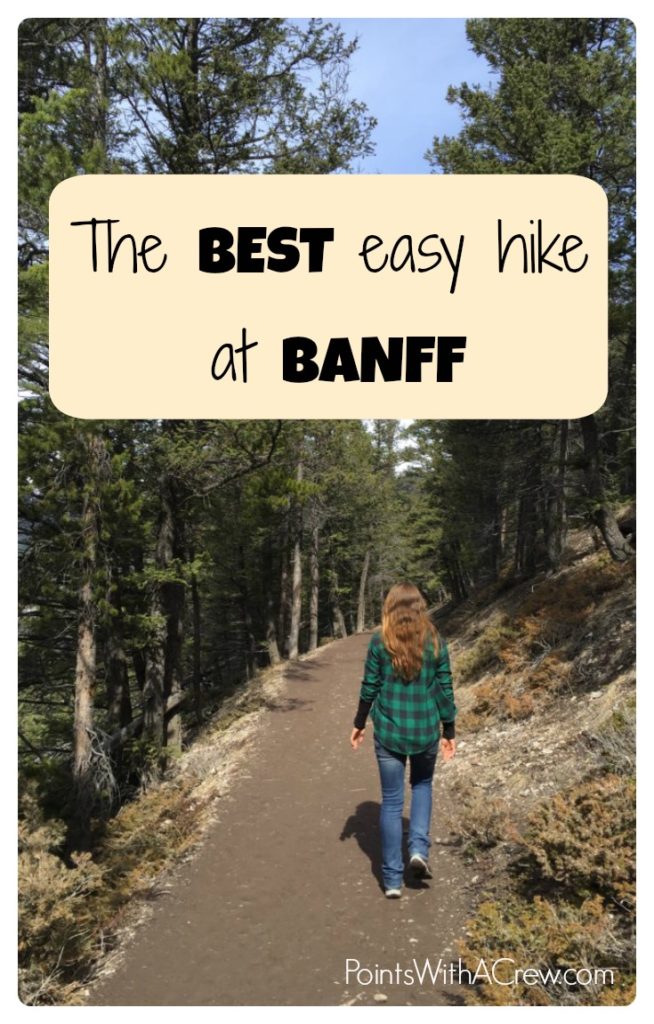 Banff National Park in Canada is a bucket list item - The hiking trail at Lake Louise and Tunnel Mountain is a great adventure you don't want to miss