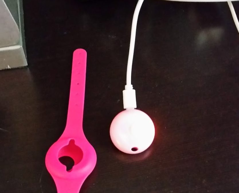 Joey Tag review: keeping track of kids in crowded places