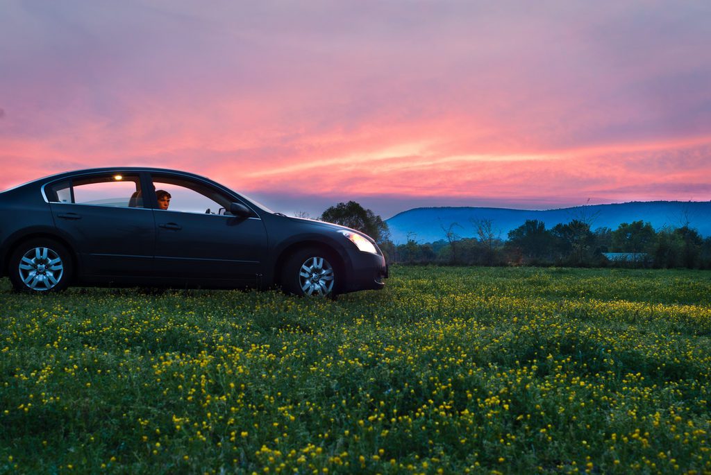 a car parked in a field of flowers