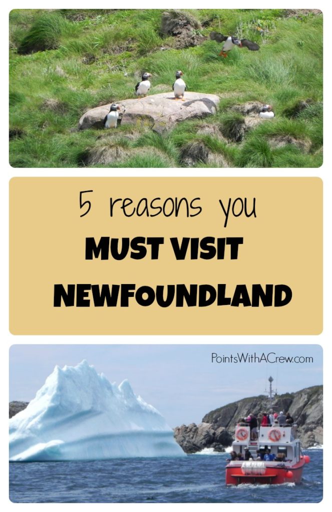 Newfoundland and Labrador Canada is one of the most beautiful places to travel.  Here are 5 reasons to visit St Johns and the rest of ...