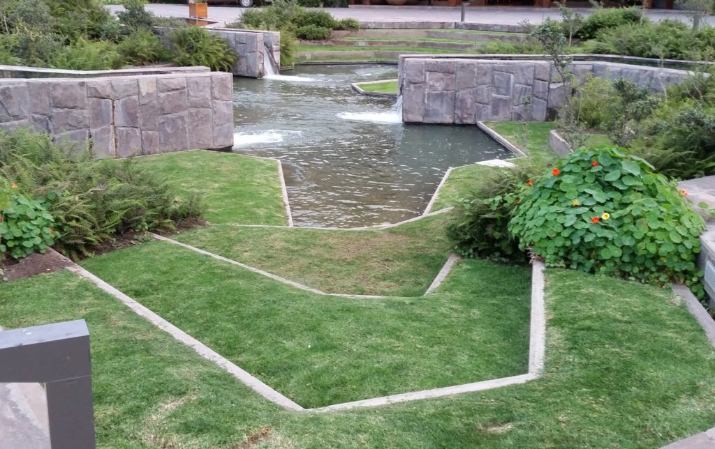 a small pond with a waterfall in the middle of a grassy area