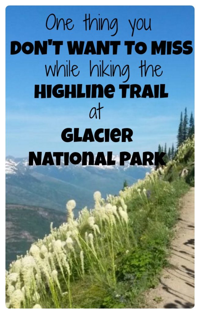 See the one hike that you do NOT want to miss if you travel to Glacier National Park in Montana. Plus camping, hiking, photography and other tips...