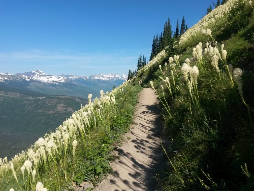 a path on a mountain