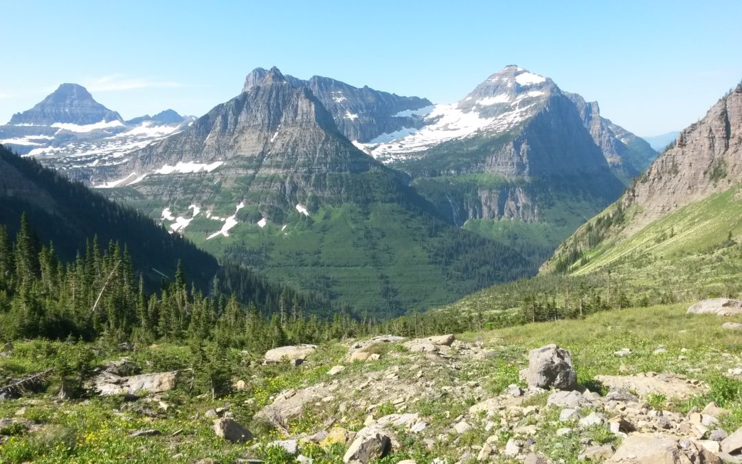 Mid-year inventory: we have how many miles and points?!