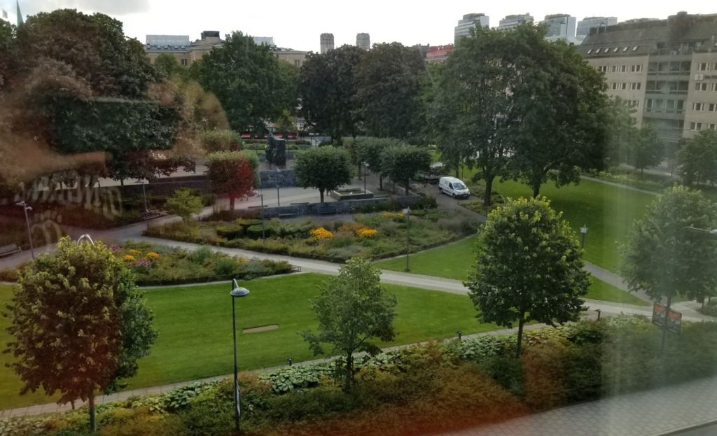 a park with trees and grass