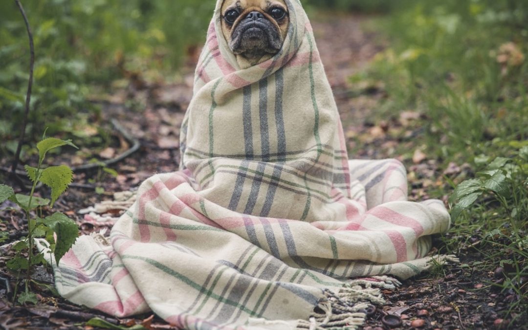 Blanket controversy ends with NBA G League players thrown off flight