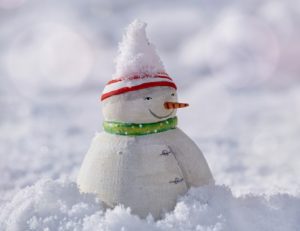 a snowman with a carrot nose and a hat on top of it