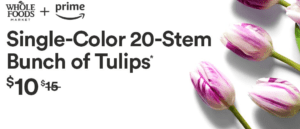 a purple and white tulip
