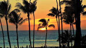 a sunset over the ocean with palm trees
