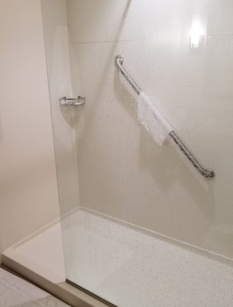 a shower with a handrail