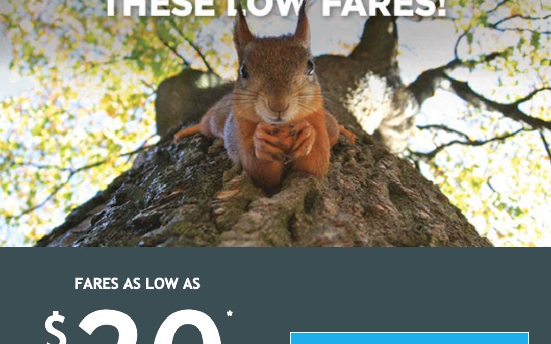 Act Fast – $20 buck fares from Frontier!