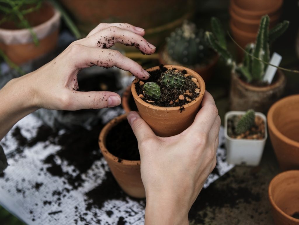a person holding a pot with dirt on it
