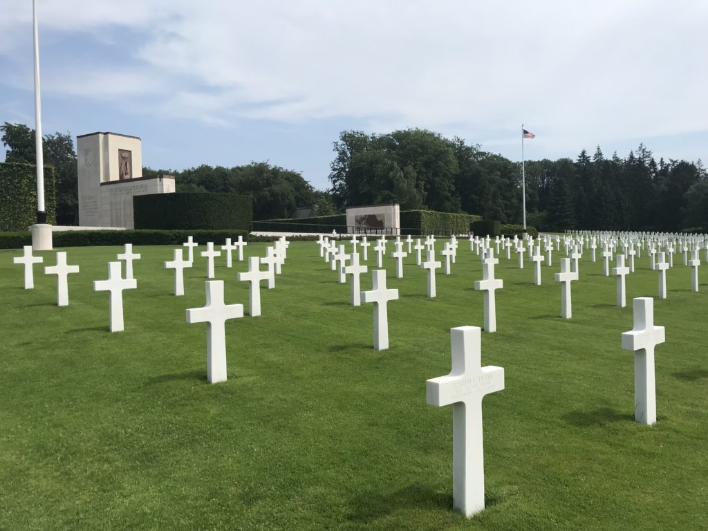 a large field of white crosses