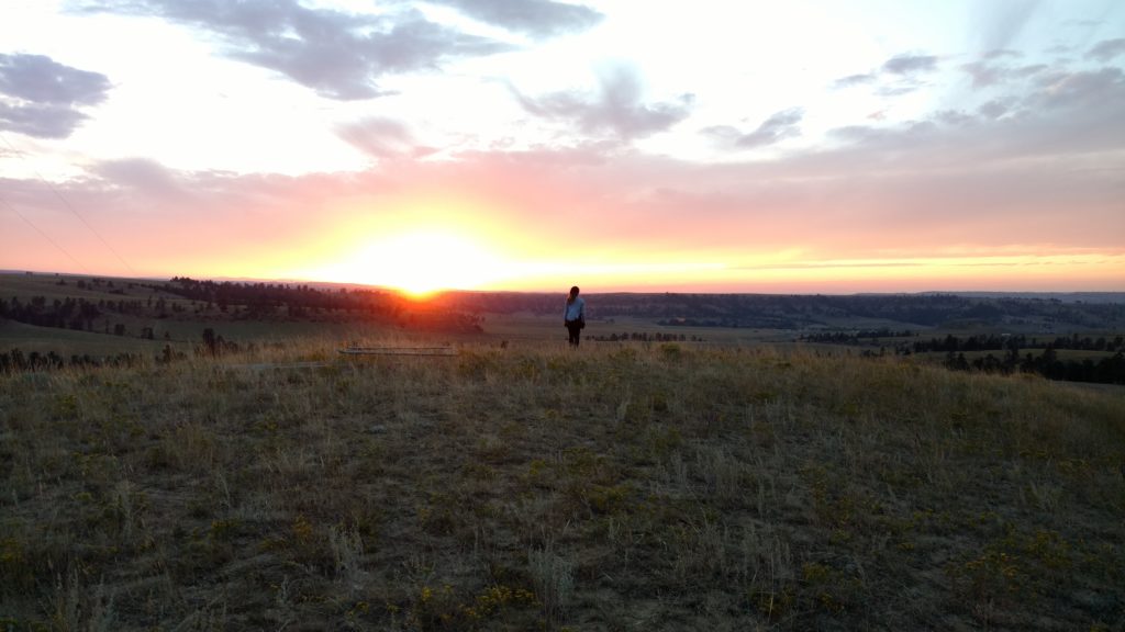 a person standing in a field with the sun setting behind them