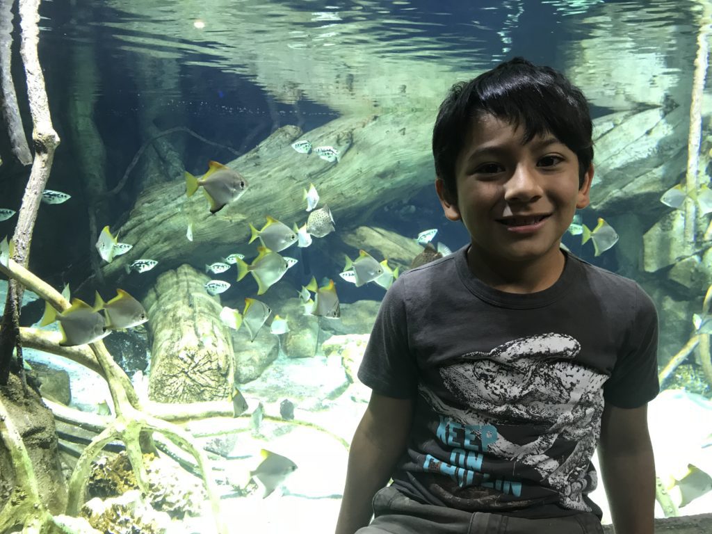 a boy sitting in front of a fish tank