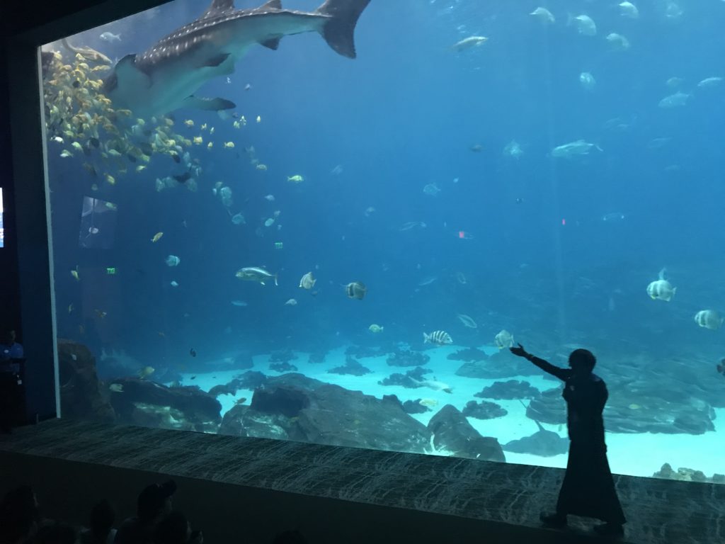 a person pointing at fish in a large aquarium