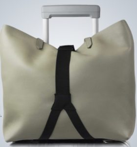 a bag with a handle