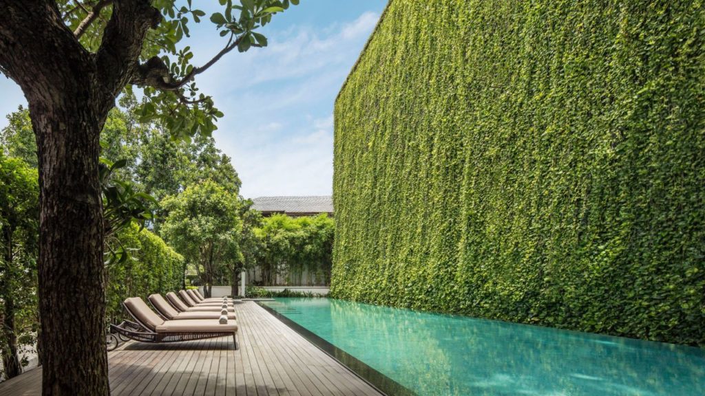 a pool with lounge chairs and a wall of ivy
