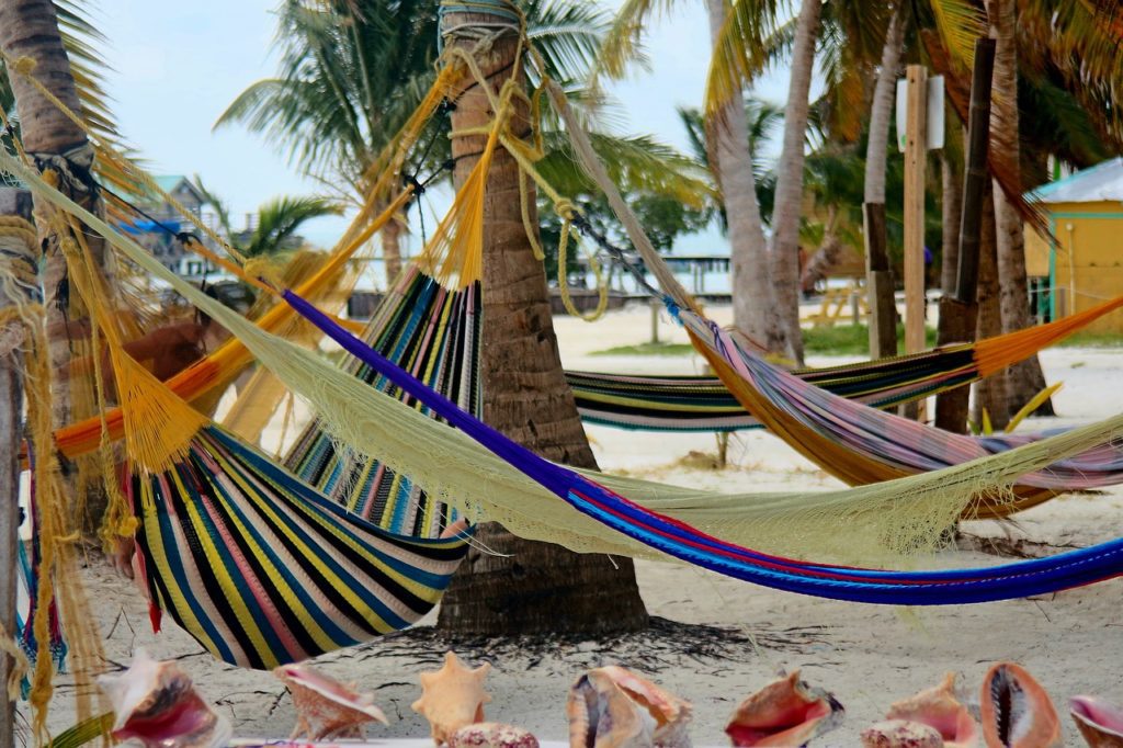 hammocks on a beach with palm trees and shells on the beach