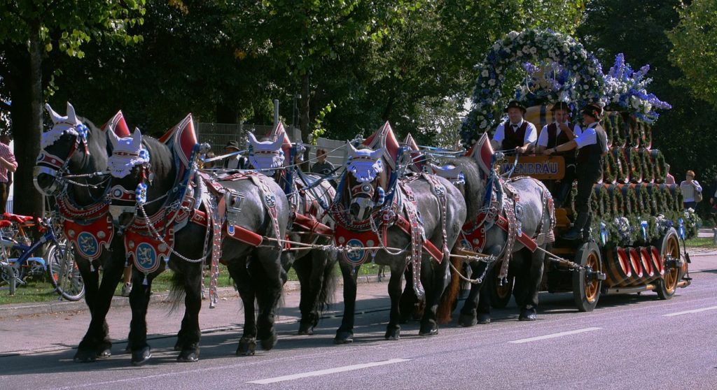 a group of horses pulling a carriage