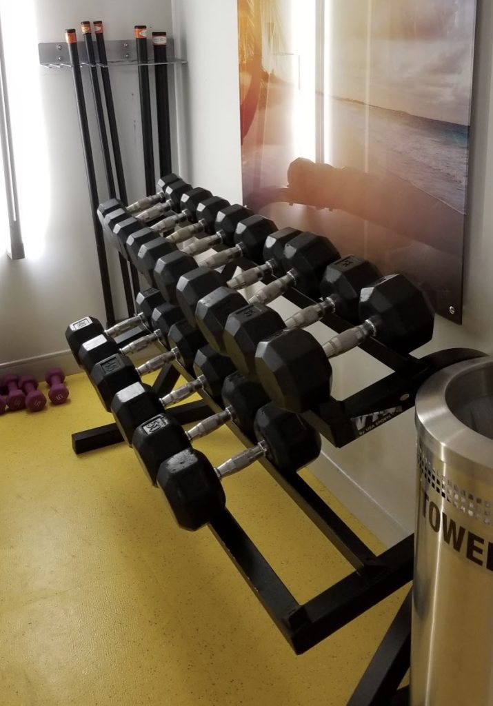 a rack of dumbbells in a gym