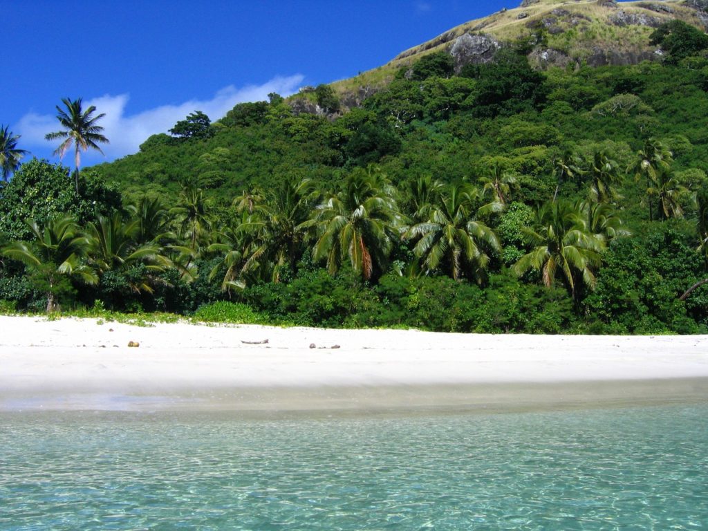 a beach with palm trees and a hill