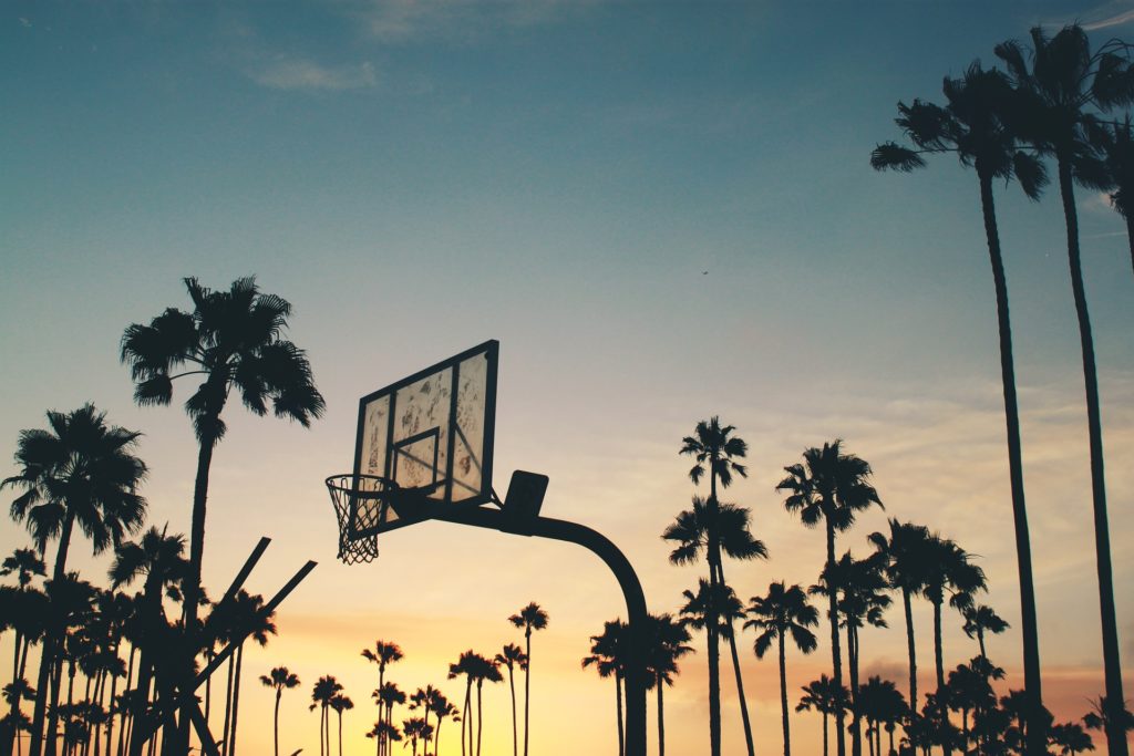 a basketball hoop and palm trees