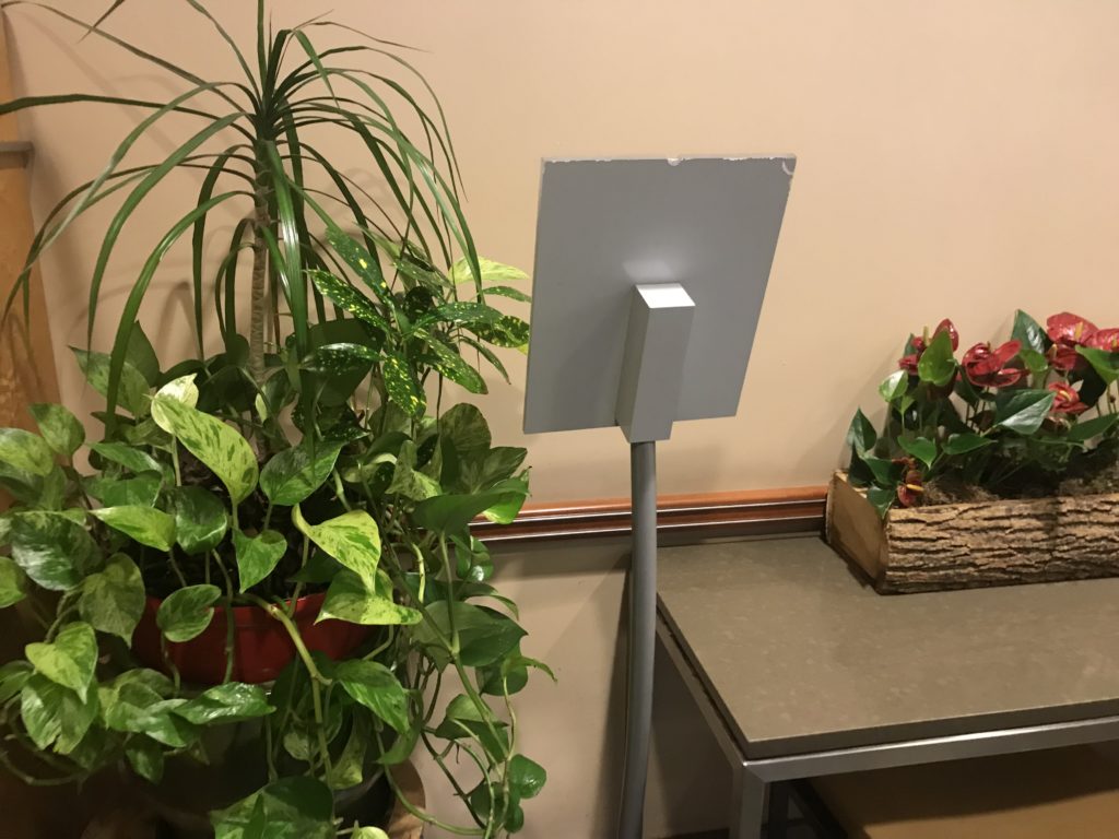 a group of plants next to a table