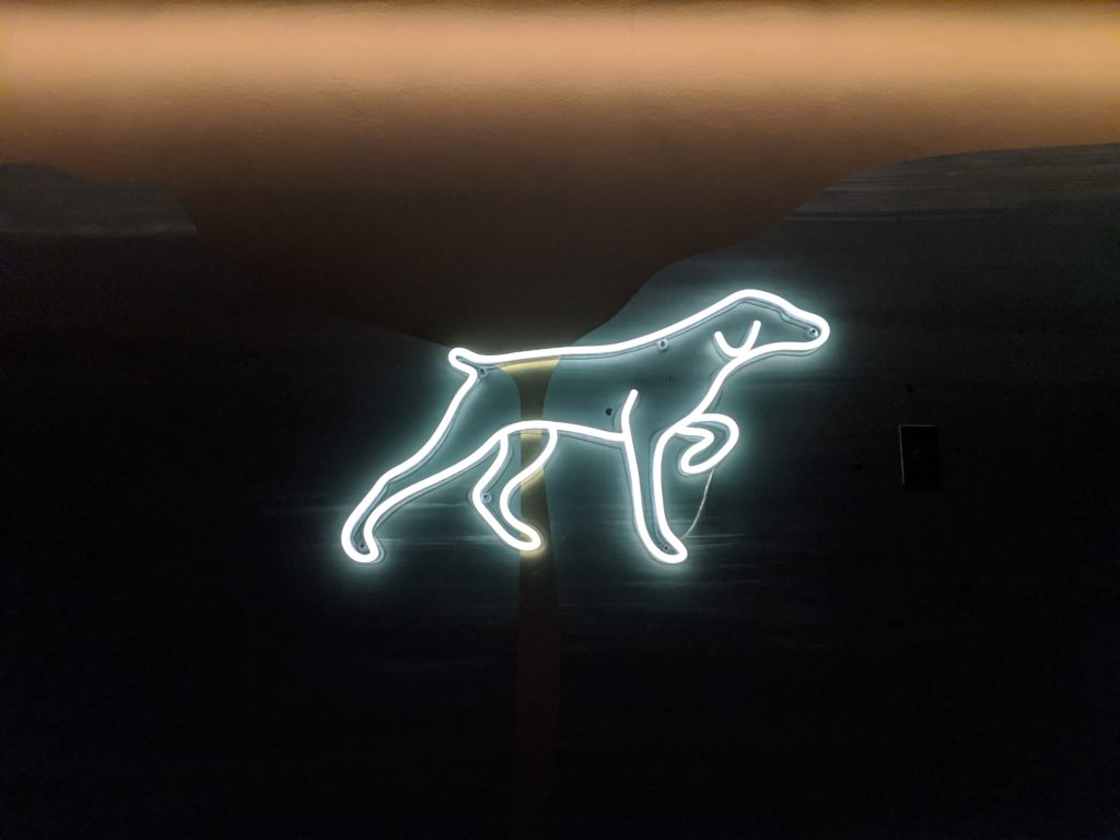 a neon dog sign on a wall