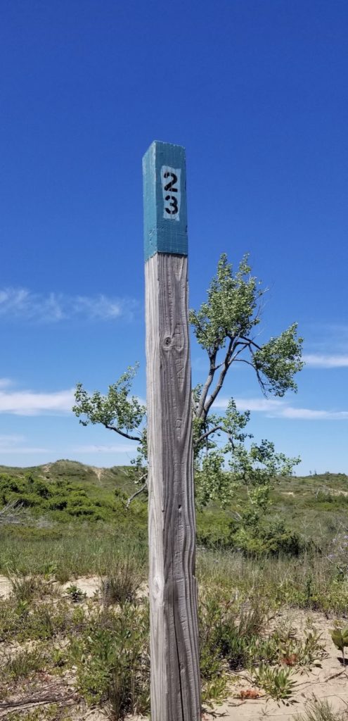 a wooden pole with a number on it