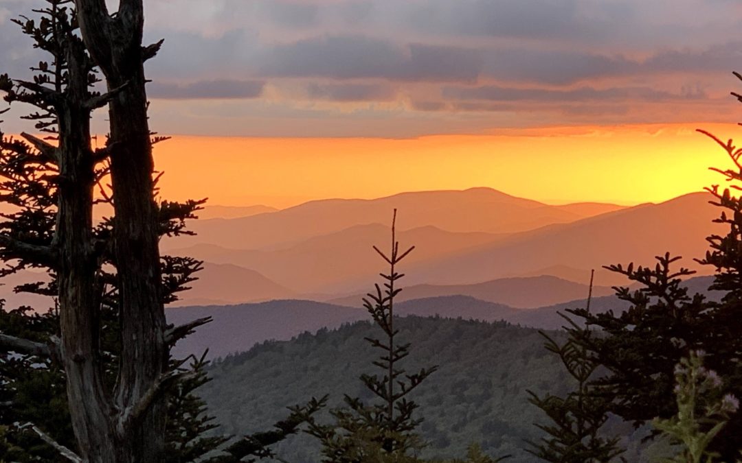 Best Family Activities in the Smoky Mountains