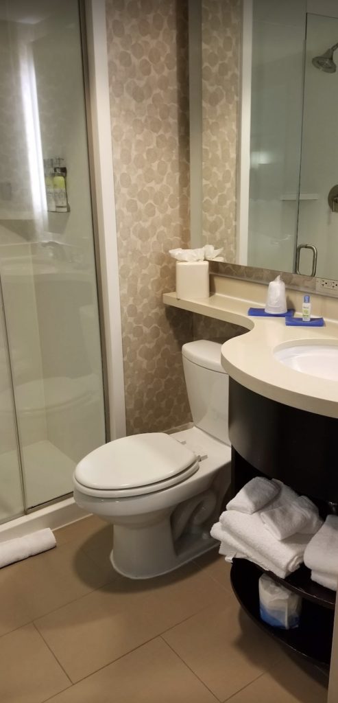 a bathroom with a shower and toilet