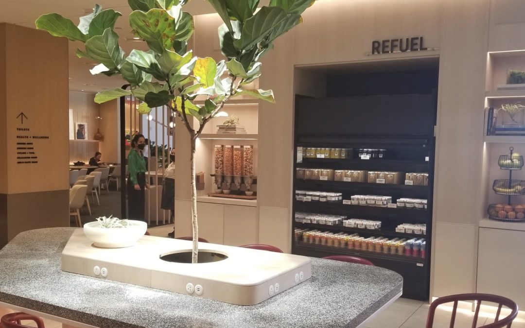 Capital One announces DEVASTATING changes to the Venture X card