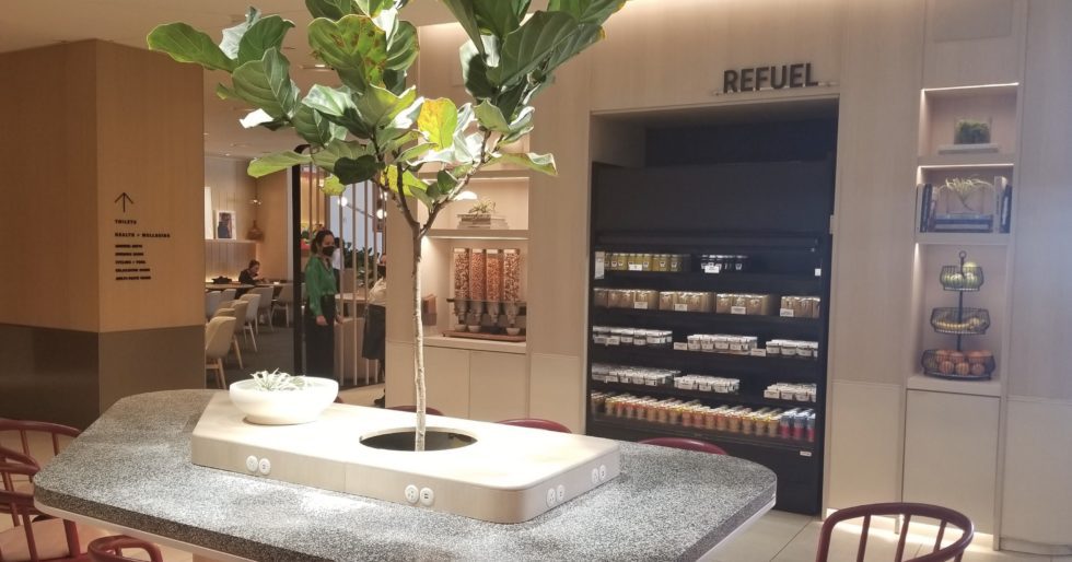 Can Venture X Authorized Users Get Into Capital One Lounges (Without A