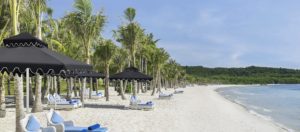 a beach with palm trees and lounge chairs