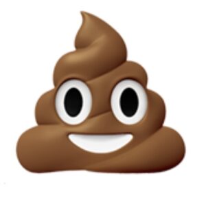 a brown poop with white eyes and a smiling face