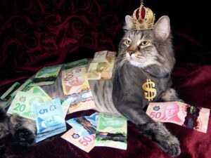a cat with a crown on its head and money