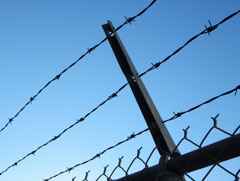 a close-up of a barbed wire fence